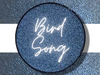 BIRD SONG Single Pressed Eyeshadow- Vegan Friendly, Cruelty Free