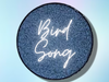 BIRD SONG Single Pressed Eyeshadow- Vegan Friendly, Cruelty Free