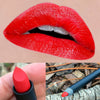 THE PERFECT RED- Lipstick and Liner. Vegan friendly.