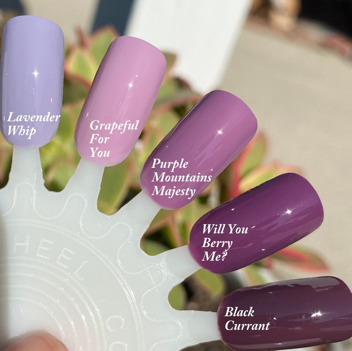 5g Solid Jelly UV Gel Nail Art /Purple Lavender Mauve Nails Pudding UV –  MakyNailSupply