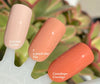 New! I A-PEACH-Iate You- 10 Toxin Free Nail Polish- Vegan Friendly, Cruelty Free