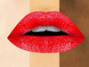 THE PERFECT RED- Lipstick and Liner. Vegan friendly.