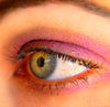 BAD ROMANCE- All Natural, Vegan Eyeshadow Makeup